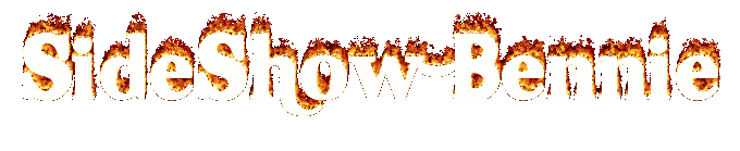 ssb-2.gif
